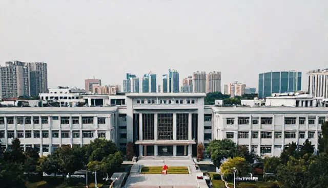 信息技术开发:使用限制分析与性能优化